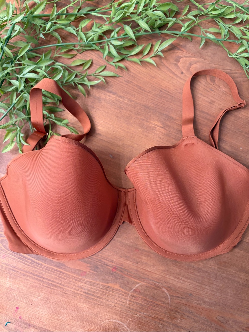Skims bra — Rust